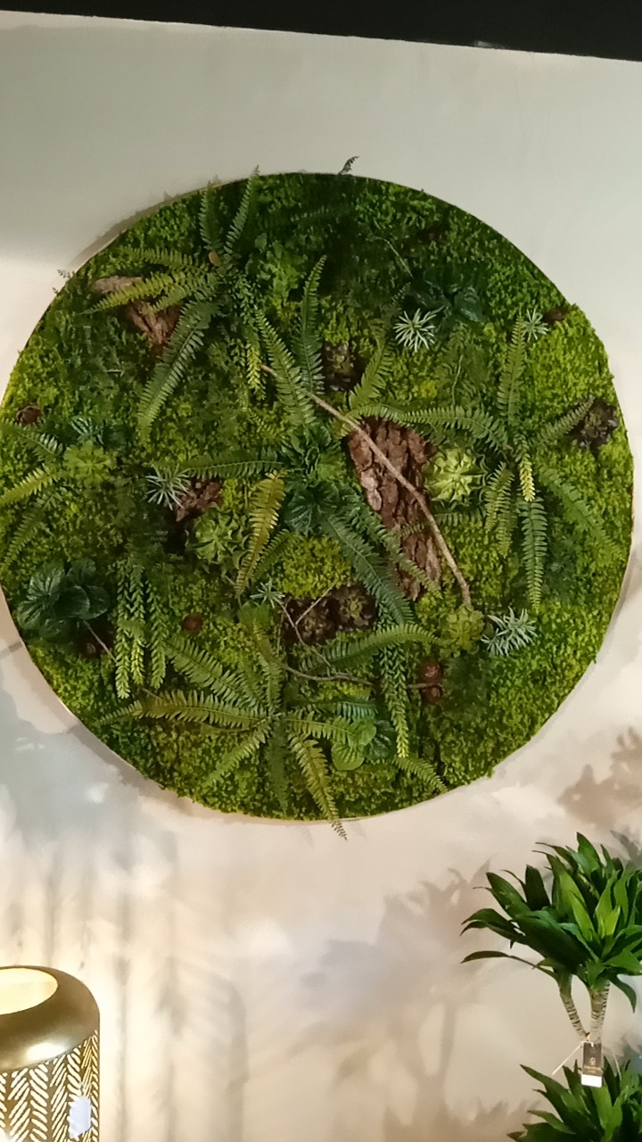 Plantes & décoration